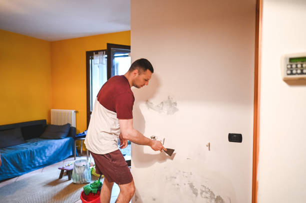 Best Toxic Mold Removal  in Pearl River, LA